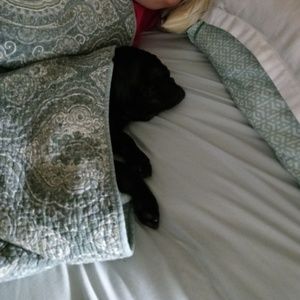 Meet your Posher, Stacey